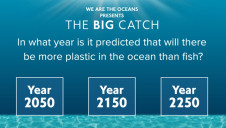 Players of The Big Catch game are asked educational questions, teaching them key facts about our oceans and plastic pollution